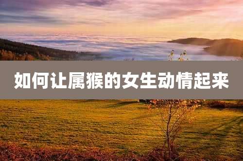 如何让属猴的女生动情起来