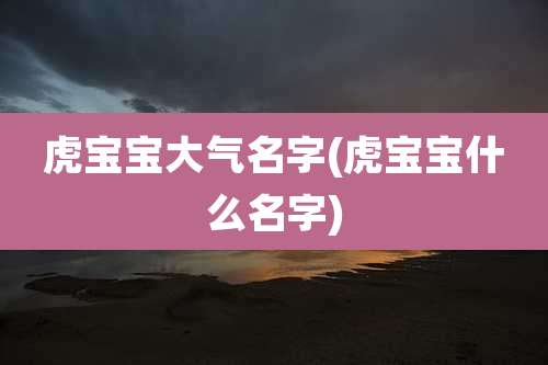 虎宝宝大气名字(虎宝宝什么名字)