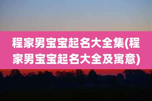 程家男宝宝起名大全集(程家男宝宝起名大全及寓意)