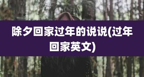 除夕回家过年的说说(过年回家英文)