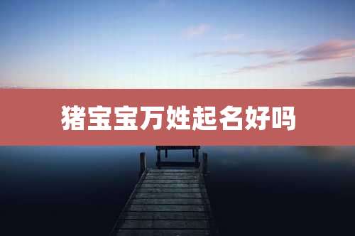 猪宝宝万姓起名好吗