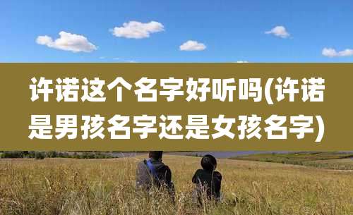 许诺这个名字好听吗(许诺是男孩名字还是女孩名字)
