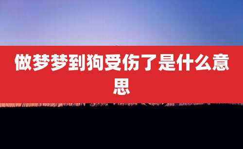 做梦梦到狗受伤了是什么意思