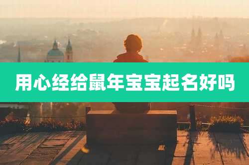 用心经给鼠年宝宝起名好吗