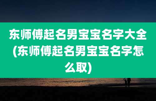 东师傅起名男宝宝名字大全(东师傅起名男宝宝名字怎么取)