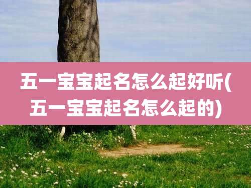 五一宝宝起名怎么起好听(五一宝宝起名怎么起的)
