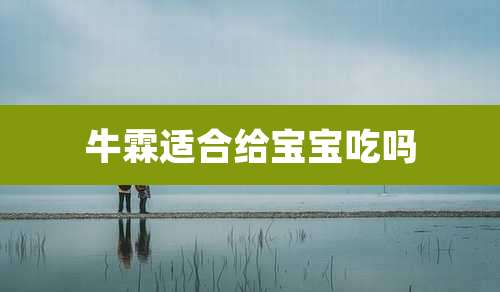 牛霖适合给宝宝吃吗
