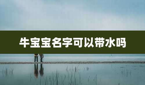 牛宝宝名字可以带水吗