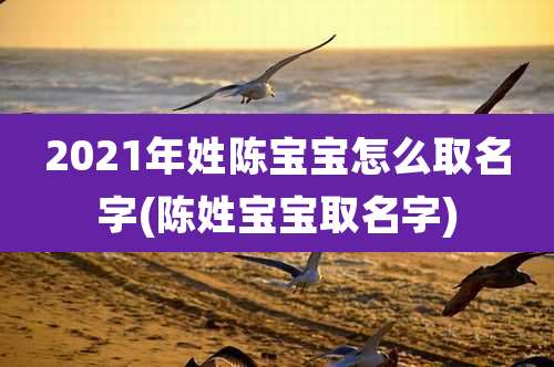 2021年姓陈宝宝怎么取名字(陈姓宝宝取名字)