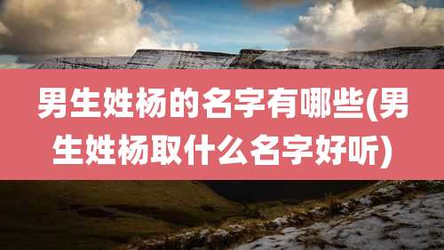 男生姓杨的名字有哪些(男生姓杨取什么名字好听)