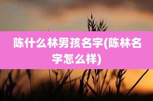 陈什么林男孩名字(陈林名字怎么样)