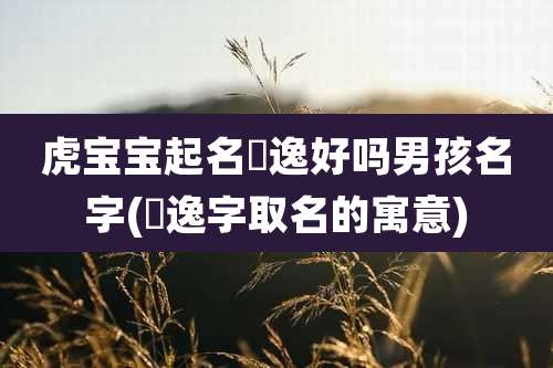 虎宝宝起名璟逸好吗男孩名字(璟逸字取名的寓意)