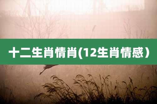 十二生肖情肖(12生肖情感)