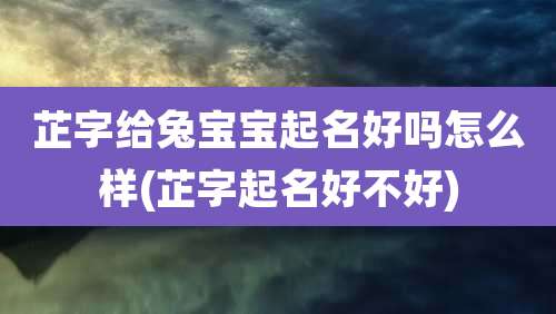 芷字给兔宝宝起名好吗怎么样(芷字起名好不好)