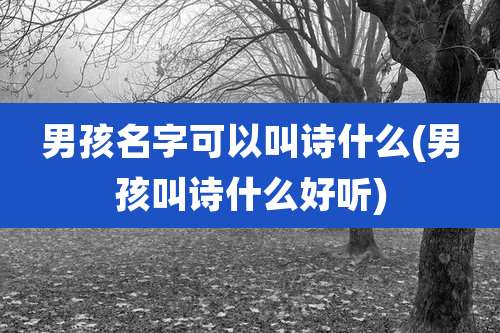 男孩名字可以叫诗什么(男孩叫诗什么好听)