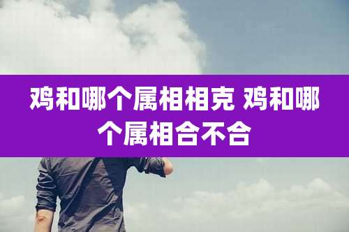 鸡和哪个属相相克 鸡和哪个属相合不合