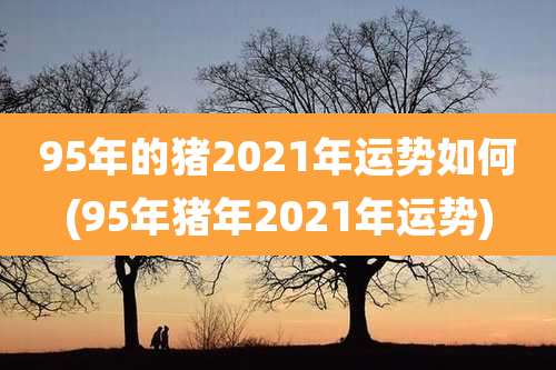 95年的猪2021年运势如何(95年猪年2021年运势)