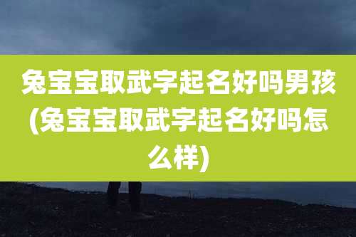 兔宝宝取武字起名好吗男孩(兔宝宝取武字起名好吗怎么样)