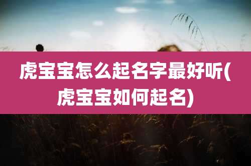 虎宝宝怎么起名字最好听(虎宝宝如何起名)