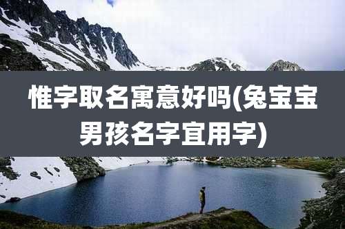 惟字取名寓意好吗(兔宝宝男孩名字宜用字)