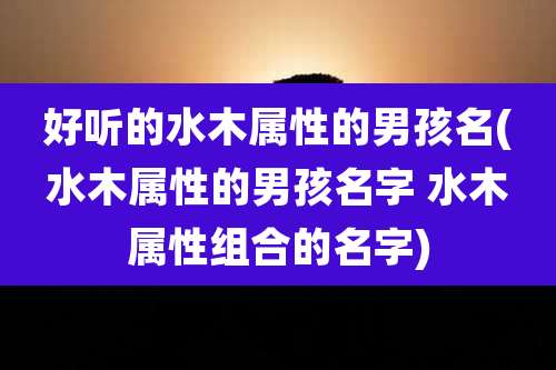 好听的水木属性的男孩名(水木属性的男孩名字 水木属性组合的名字)