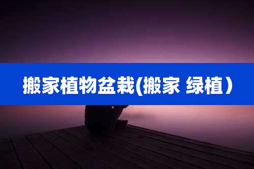 搬家植物盆栽(搬家 绿植）