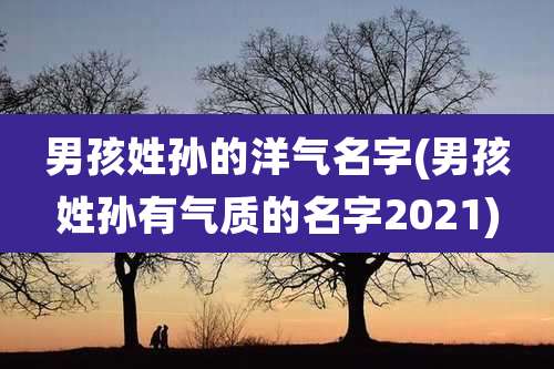 男孩姓孙的洋气名字(男孩姓孙有气质的名字2021)