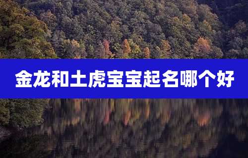金龙和土虎宝宝起名哪个好