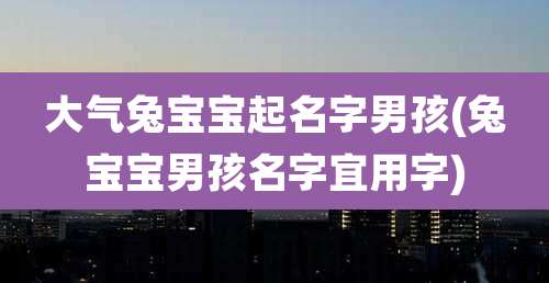 大气兔宝宝起名字男孩(兔宝宝男孩名字宜用字)