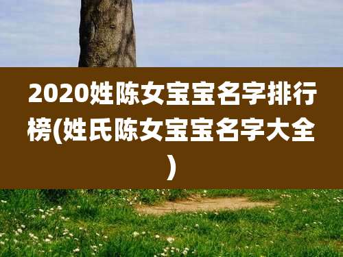 2020姓陈女宝宝名字排行榜(姓氏陈女宝宝名字大全)