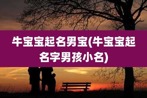 牛宝宝起名男宝(牛宝宝起名字男孩小名)