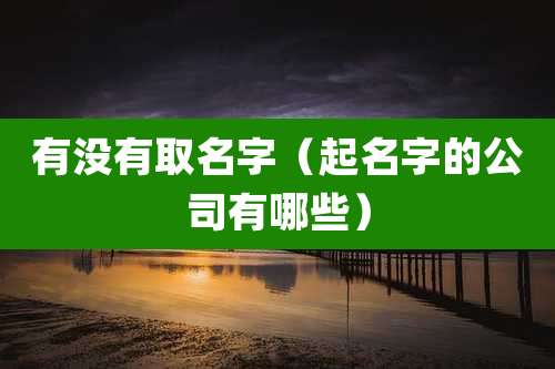 有没有取名字（起名字的公司有哪些）