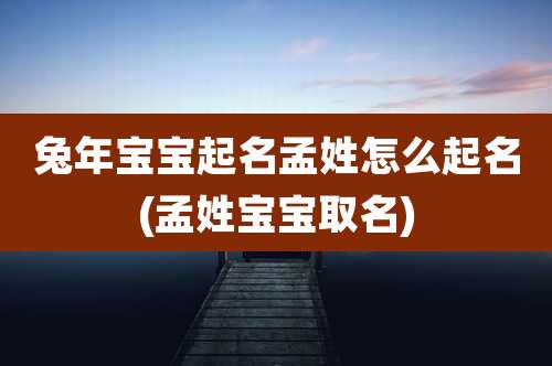 兔年宝宝起名孟姓怎么起名(孟姓宝宝取名)