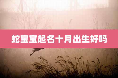 蛇宝宝起名十月出生好吗