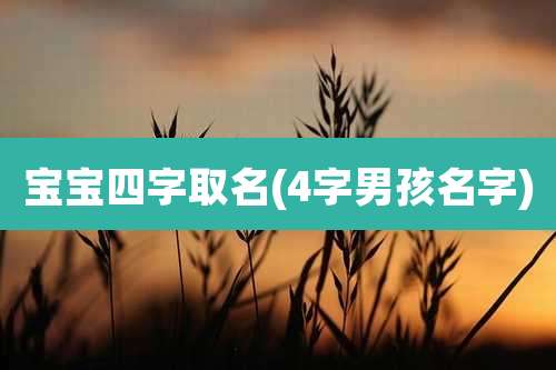 宝宝四字取名(4字男孩名字)