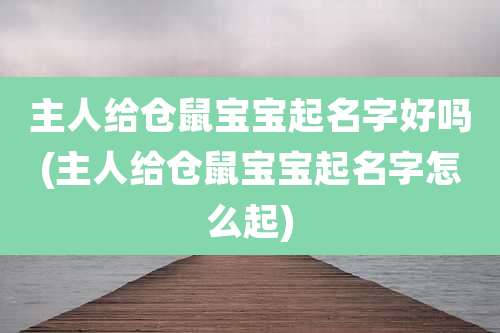 主人给仓鼠宝宝起名字好吗(主人给仓鼠宝宝起名字怎么起)
