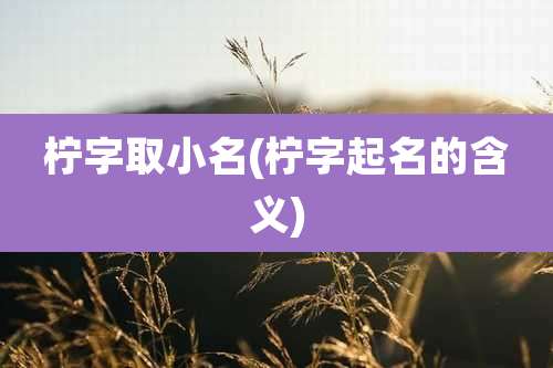 柠字取小名(柠字起名的含义)