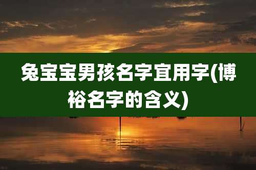 兔宝宝男孩名字宜用字(博裕名字的含义)
