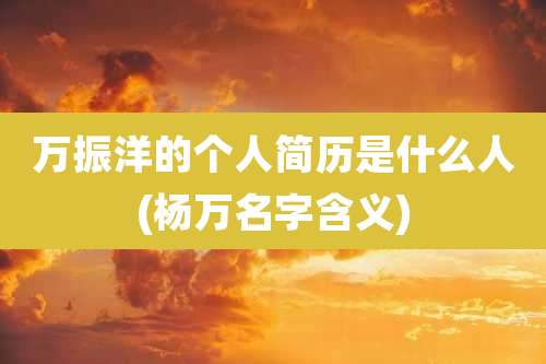 万振洋的个人简历是什么人(杨万名字含义)