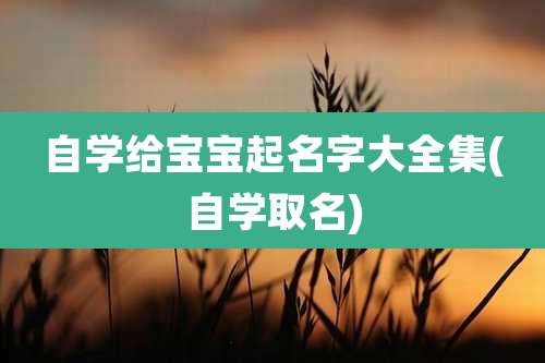 自学给宝宝起名字大全集(自学取名)