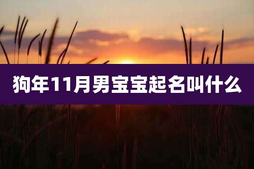 狗年11月男宝宝起名叫什么