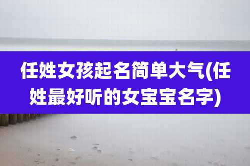 任姓女孩起名简单大气(任姓最好听的女宝宝名字)