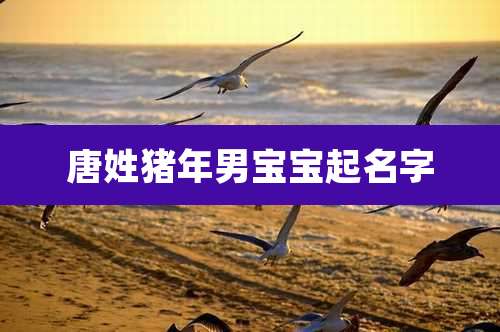 唐姓猪年男宝宝起名字