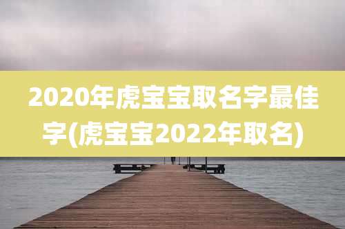 2020年虎宝宝取名字最佳字(虎宝宝2022年取名)