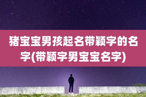 猪宝宝男孩起名带颖字的名字(带颖字男宝宝名字)