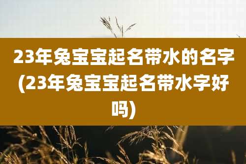 23年兔宝宝起名带水的名字(23年兔宝宝起名带水字好吗)
