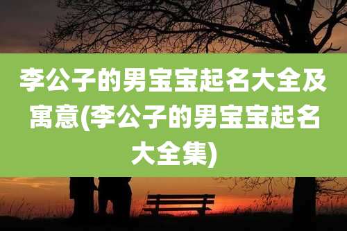 李公子的男宝宝起名大全及寓意(李公子的男宝宝起名大全集)