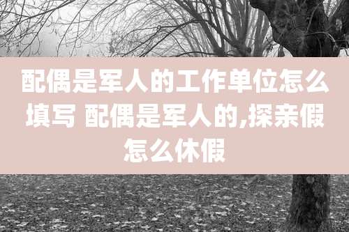 配偶是军人的工作单位怎么填写 配偶是军人的,探亲假怎么休假