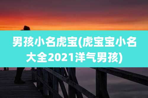 男孩小名虎宝(虎宝宝小名大全2021洋气男孩)