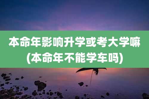 本命年影响升学或考大学嘛(本命年不能学车吗)